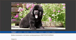Desktop Screenshot of aknewfs.ru